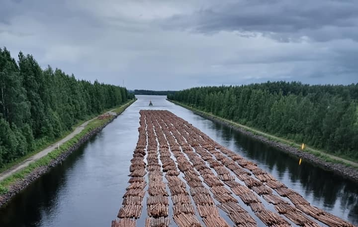 Vory na finských jezerech a řekách v současnosti