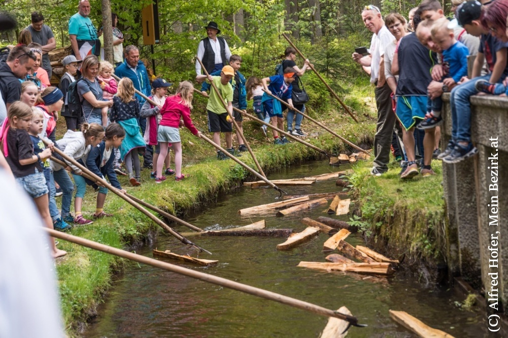 Den zážitků u potoku Schrollenchach, vhazování dřeva