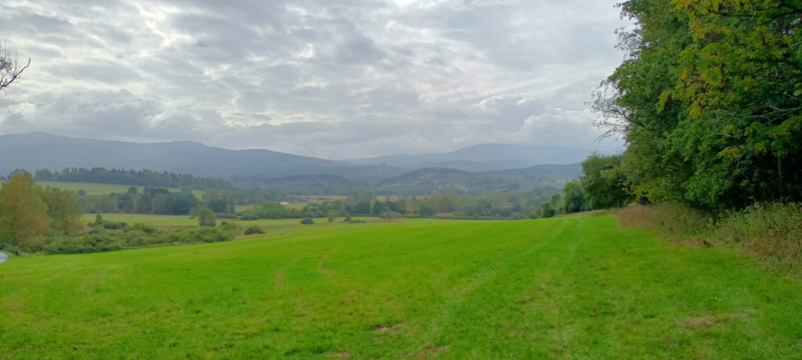 Pohled od Želnavy k Plechému přes údolí Vltavy